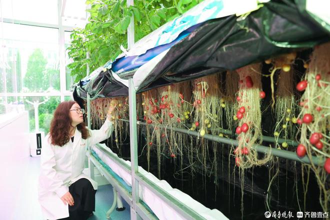 齐鲁晚报德州融媒中心作品获2024山东“双百”网络正能量精品(图5)
