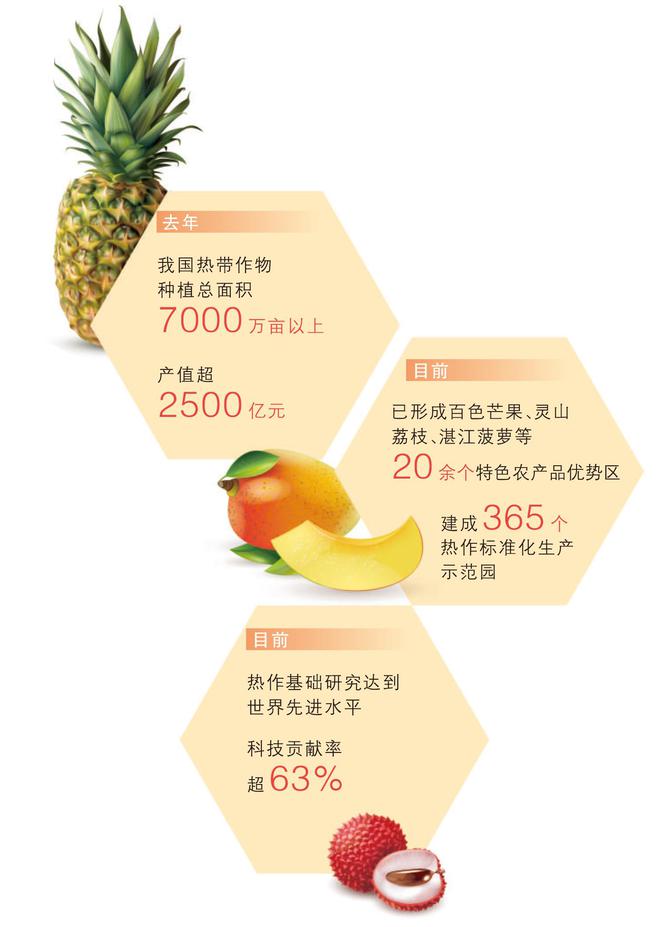 小小的船儿两头尖？速来测测你的热作产业知识量
