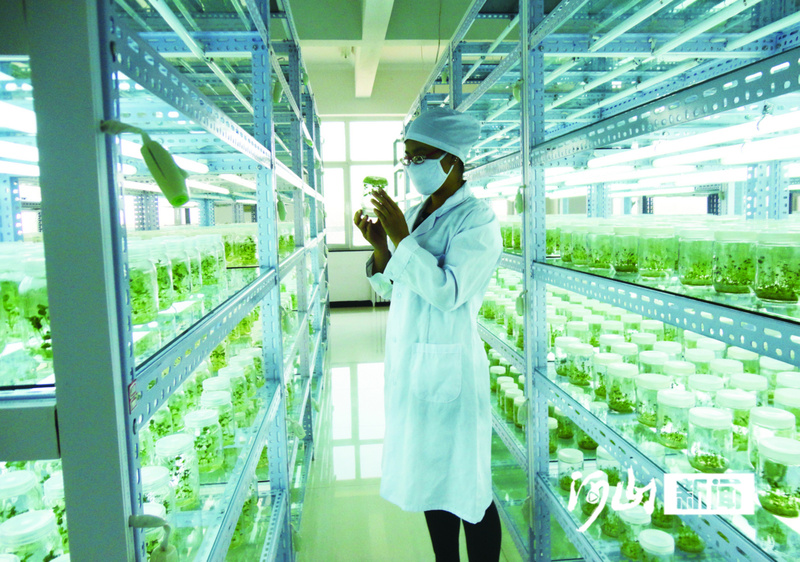 【坚定信心勇挑大梁】一颗小土豆的大能量(图3)