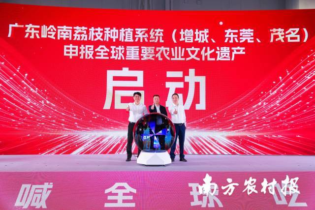 喊全球吃广东荔枝！一串密码开启“中国人的荔枝季”(图13)