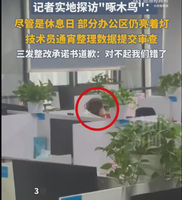 网友吐槽啄木鸟整改敷衍;小米工厂参观资格被炒至2000元;(图4)