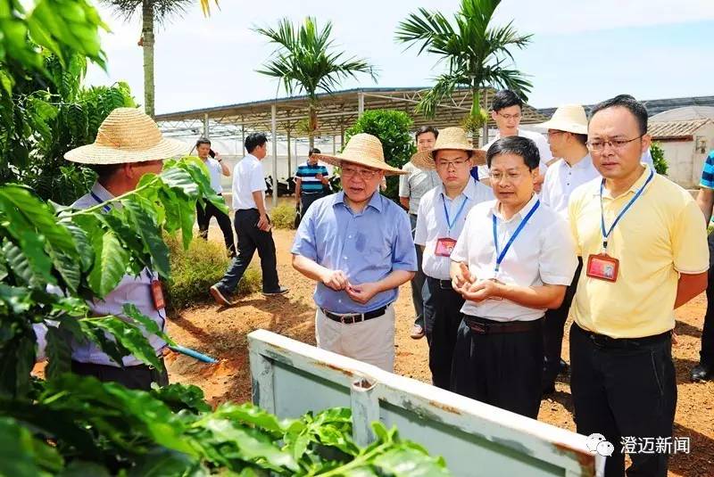 重磅消息丨省长沈晓明来澄迈调研快来听听他说了什么？