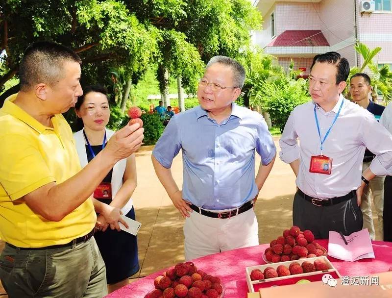 重磅消息丨省长沈晓明来澄迈调研快来听听他说了什么？(图2)