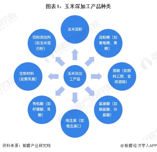预见2025：《2025年中国玉米深加工行业全景图谱》（附市场现状、竞争格局和发