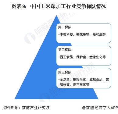预见2025：《2025年中国玉米深加工行业全景图谱》（附市场现状、竞争格局和发展趋势等）(图9)