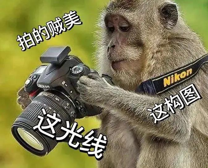 “周末进小米工厂连吃带拿”才算是把资本家羊毛薅明白了(图9)