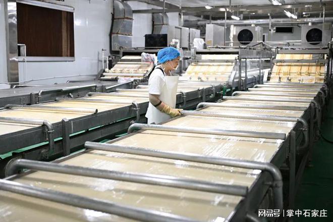 石家庄市栾城区构建现代化豆制品加工生产基地