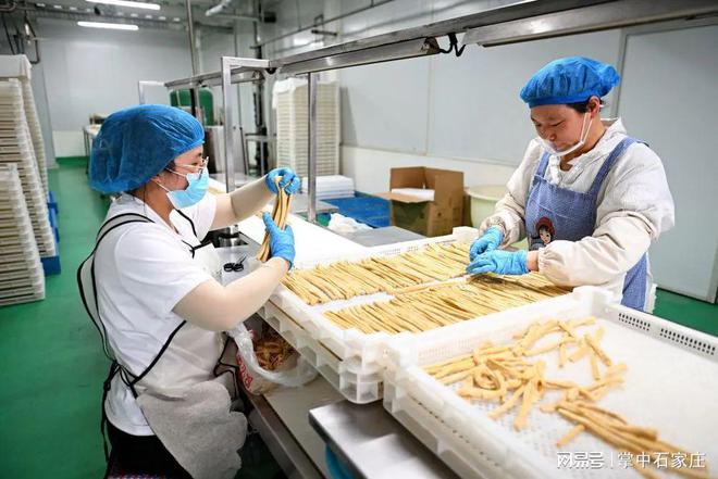 石家庄市栾城区构建现代化豆制品加工生产基地(图2)