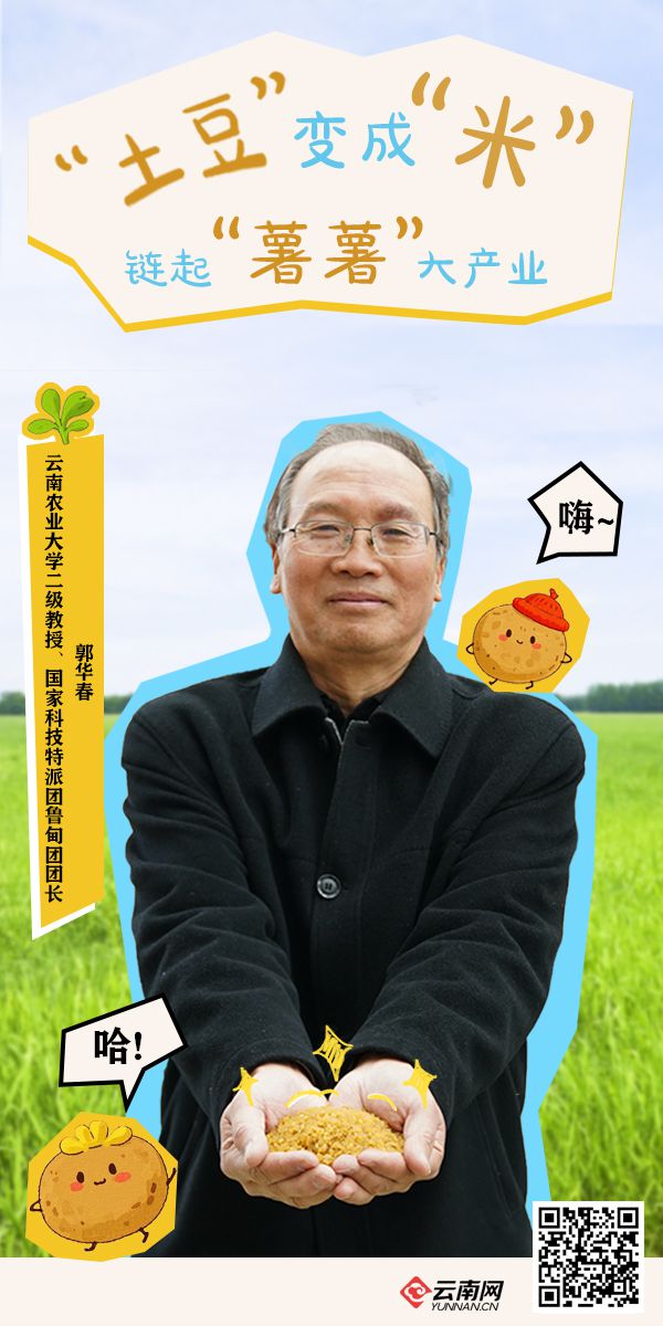 云南昭通“土疙瘩”如何摇身一变成为盘活土豆产业链的“黄金米”？以科技创新做强高原