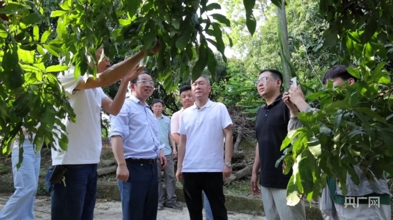 四地采购商赴粤寻“美荔”打通产销对接“最后一公里”(图4)