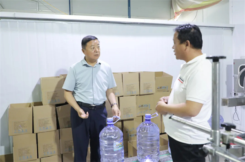 张龙在新坝镇调研(图2)