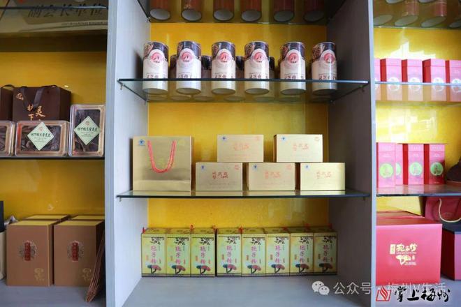 梅县这村大力发展灵芝种植产业加工成灵芝茶、面、肉丸(图3)