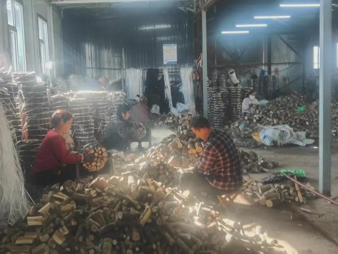 食用菌备春耕“别样”产业奏响致富新乐章(图2)