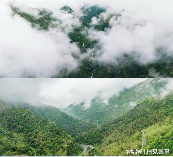 浙江常山胡柚的70余种“打开方式”：深加工促增收(图5)