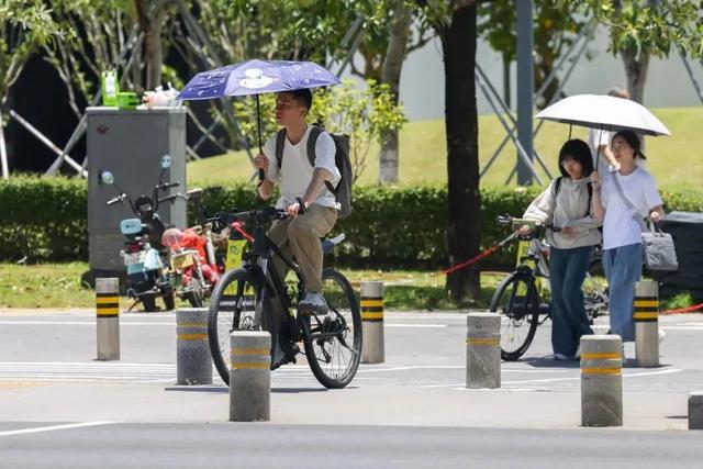 最强13级！4号台风“丹娜丝”生成！广东将迎暴雨大暴雨！(图2)