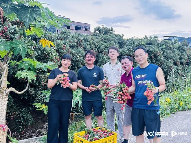 华工团队致力于提升荔枝附加价值为助农富农事业贡献力量(图1)