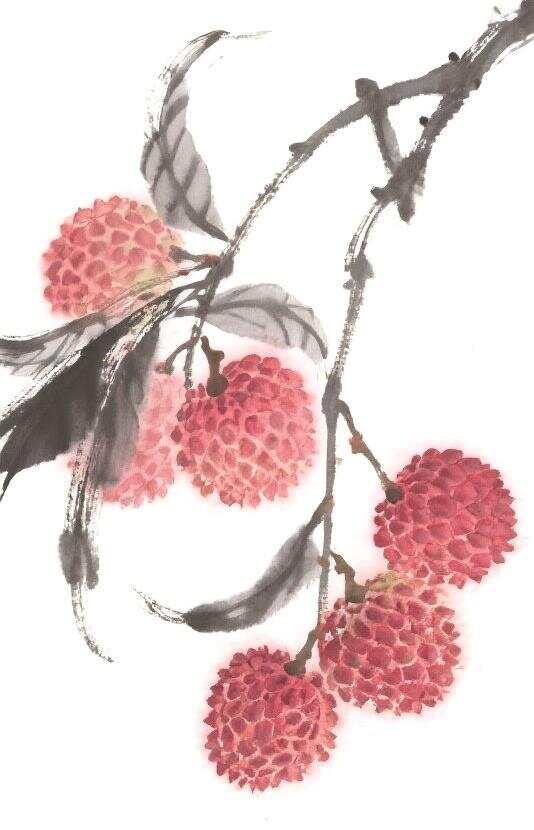 靓“荔”登场“沪”唤而来(图1)