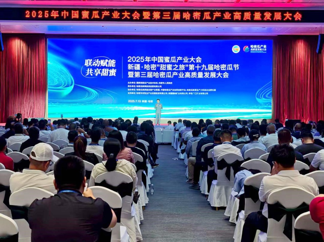 第三届哈密瓜产业高质量发展大会成果丰硕全链条支撑产业高质量发展(图1)