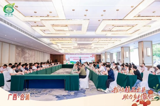 2025年“桂字号”北海市合浦农产品产销对接活动在广州举办(图1)