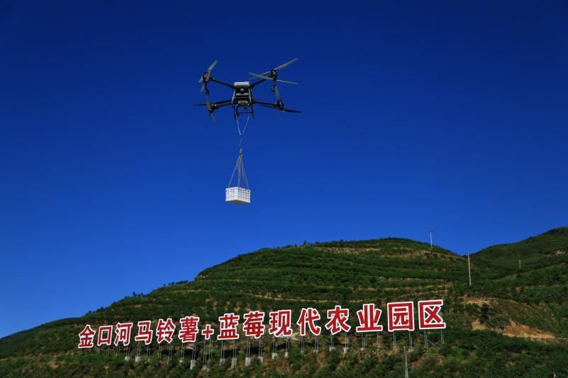 科技赋能产业蝶变乐山金口河高山蓝莓绘就乡村振兴“共富蓝图”(图3)