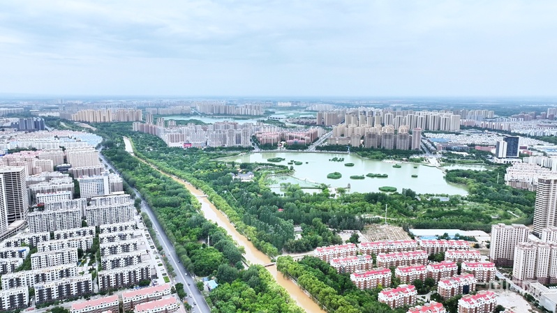 半年报看发展丨宁夏：增速拔头筹绿意满塞上(图3)
