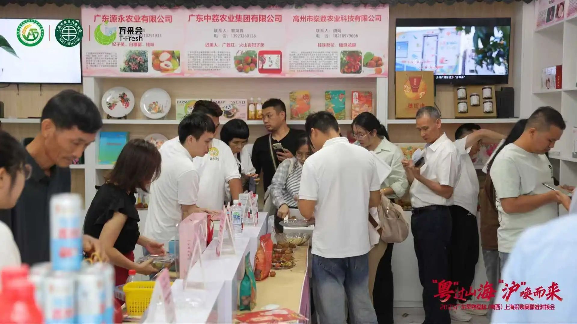 2025广东早熟荔枝（粤西）上海采购商精准对接会圆满举行(图3)