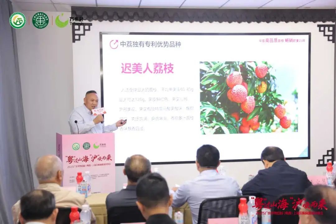 2025广东早熟荔枝（粤西）上海采购商精准对接会圆满举行(图5)