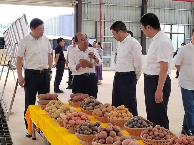 全国劳动模范胡荣海：30余载把小土豆做成大产业(图4)
