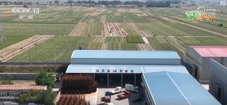 “产加销”一条龙“科工贸”一体化打响乡村振兴“金蒜盘”(图2)
