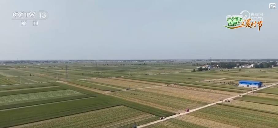“产加销”一条龙“科工贸”一体化打响乡村振兴“金蒜盘”(图3)