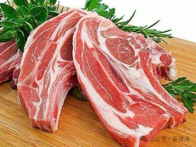 中国国际肉类工业技术周(图1)