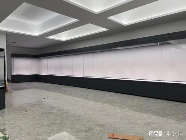 博物馆展柜厂家守护藏品瑰宝！(图4)