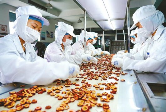 莱芜万邦食品有限公司：“小金果”铺就致富路(图2)