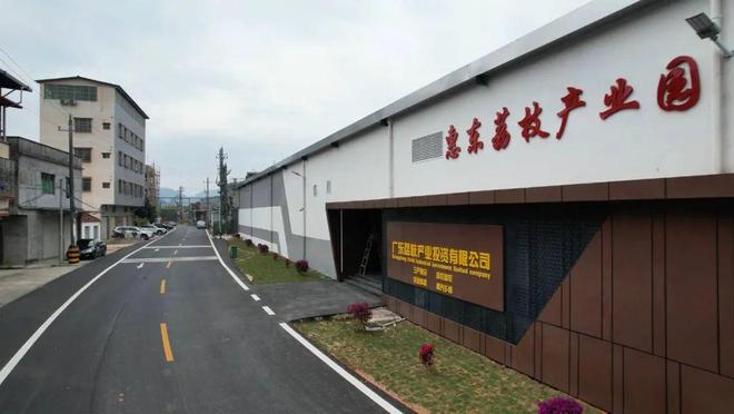 “甜蜜突围”！荔枝“大年”里的惠东实践(图5)