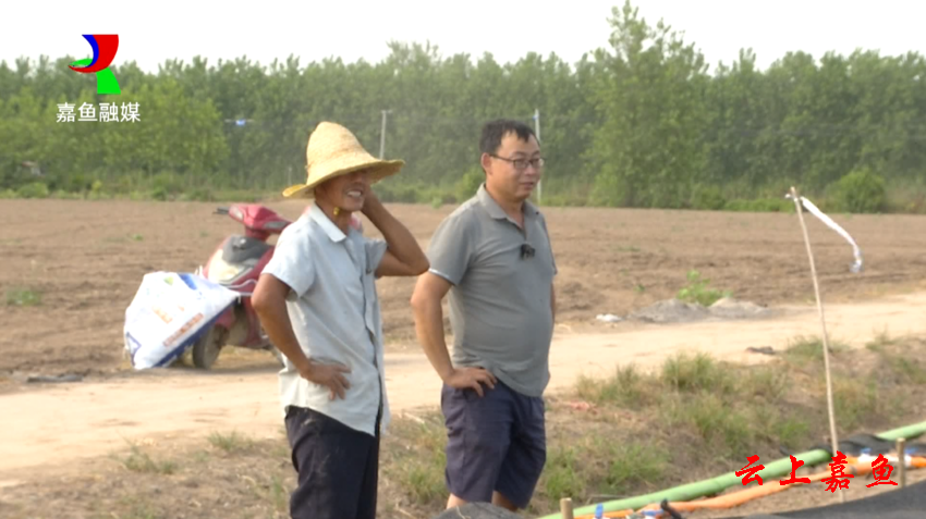 咸宁嘉鱼：深加工让甘蓝身价涨两成(图3)