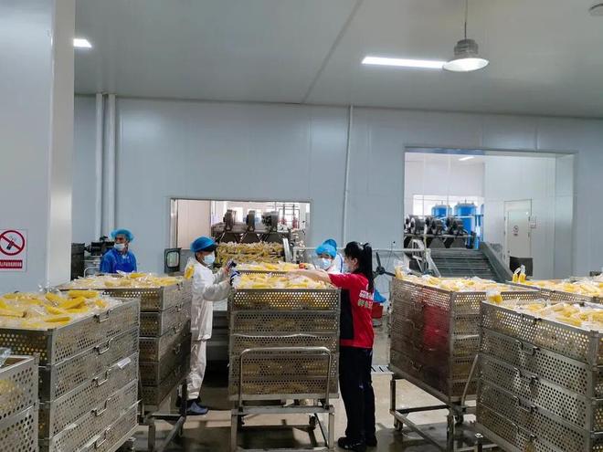 龙江森工集团：特色产业绘就金秋丰收卷(图6)