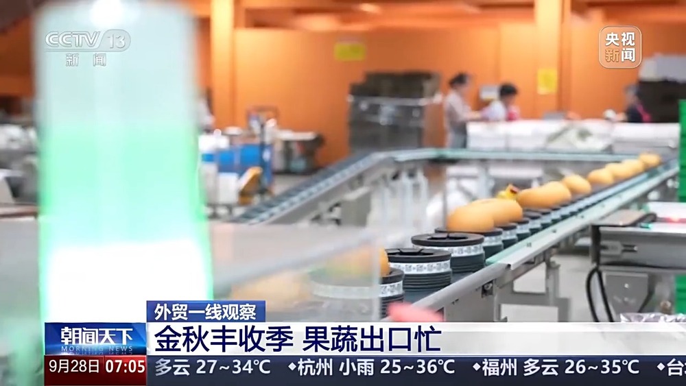 外贸一线观察丨从论斤卖到论克卖科技撑腰让水果增价值