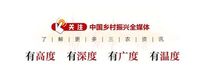 广东花都、贵州关岭以茶为媒绘就新图景(图5)