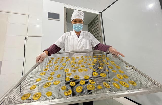 记者观察丨源泉猕猴桃：林下经济与深加工背后的创新思考(图3)