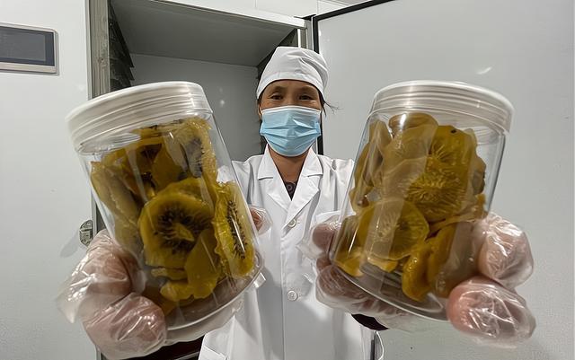记者观察丨源泉猕猴桃：林下经济与深加工背后的创新思考(图4)