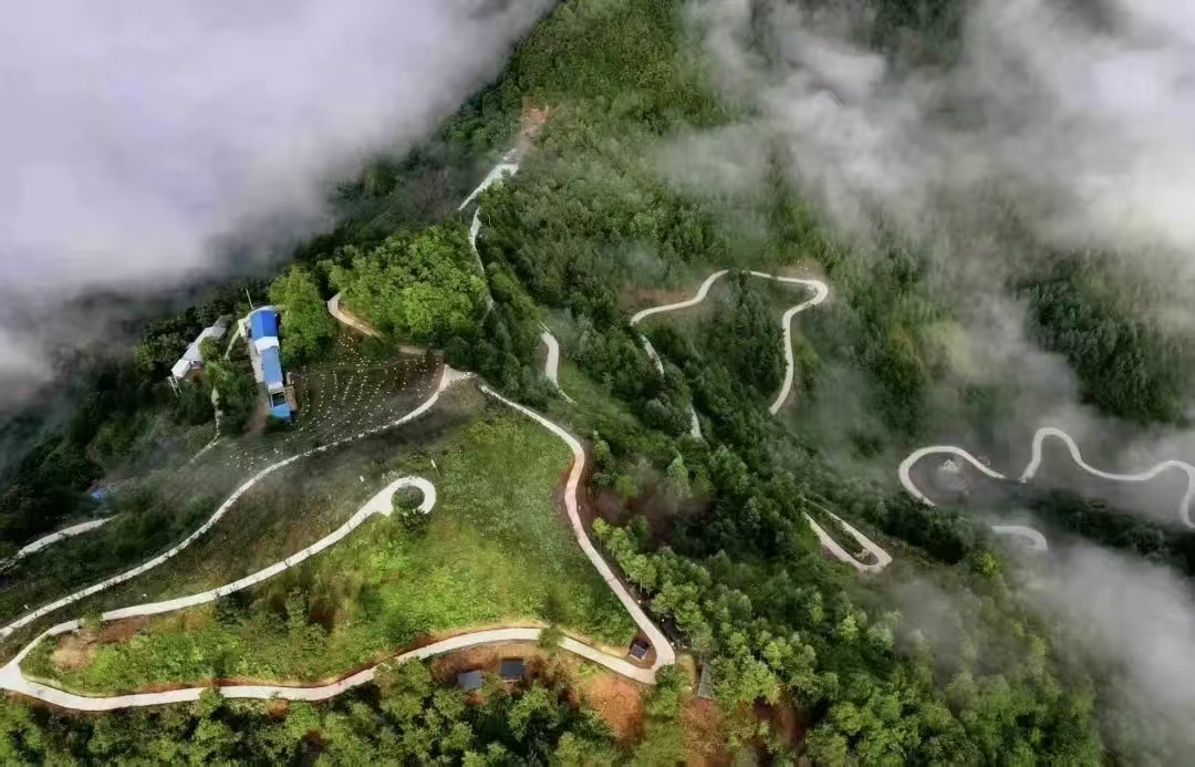 秦岭深处的有机答卷：两当县“全域有机”发展的破局与前景