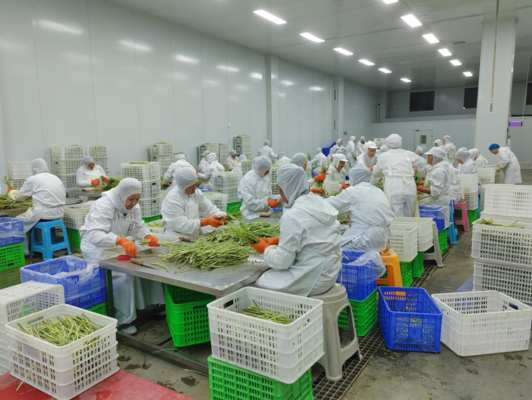 四川苍溪：强链延链推动特色食品饮料香飘四方(图3)
