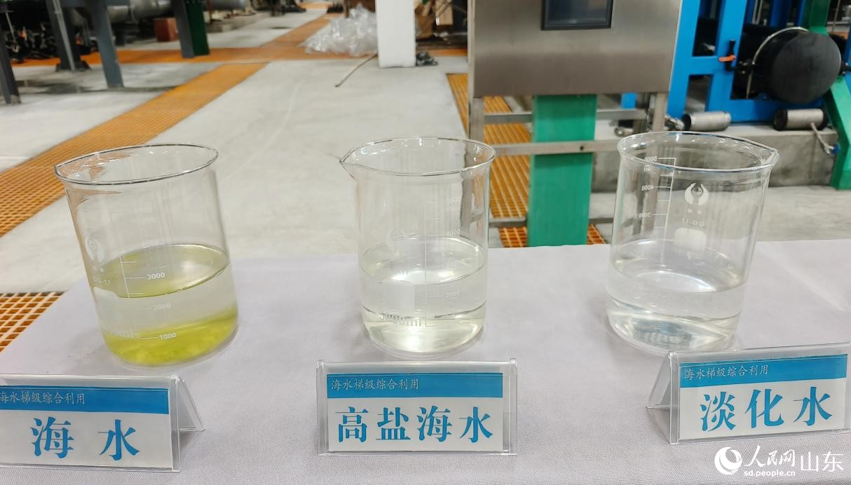 山东无棣：探访“海水工厂”