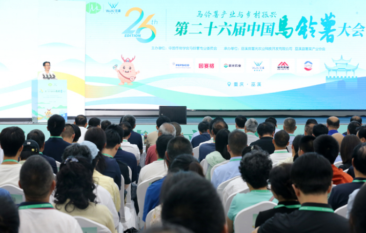 我国西南一二季混作区已成为最大的马铃薯主产区(图2)