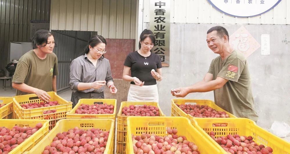 荔枝深加工拓展产业链
