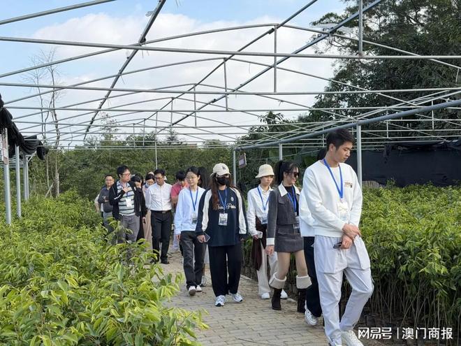 港澳青年赴茂名开启“新型农产速通之旅”：首日解锁沉香荔枝致富密码(图2)