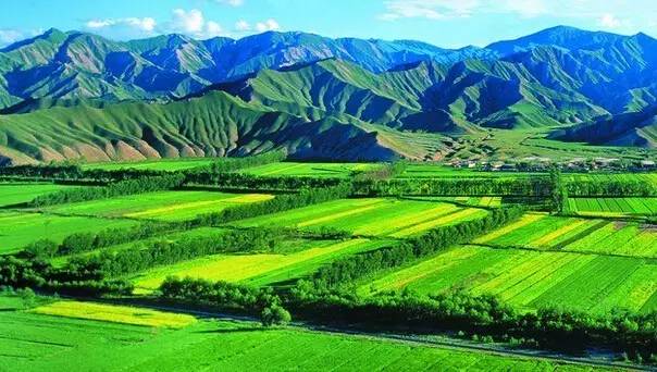 【头条】15个关键词读懂中国农业未来趋势！(图9)