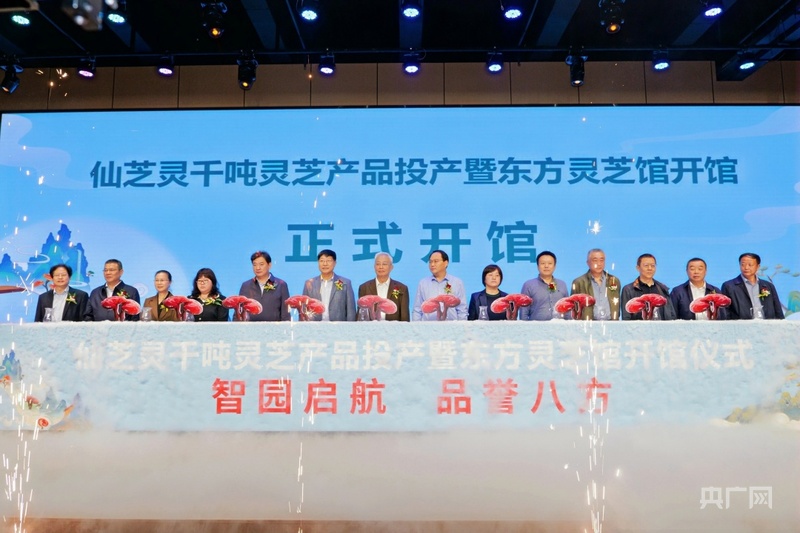 千吨产能叠加文化地标金寨灵芝产业锚定70亿全链升级