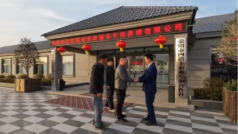 河南荥阳：数字化养殖提质增效全链发展绘就乡村振兴新羊景(图7)