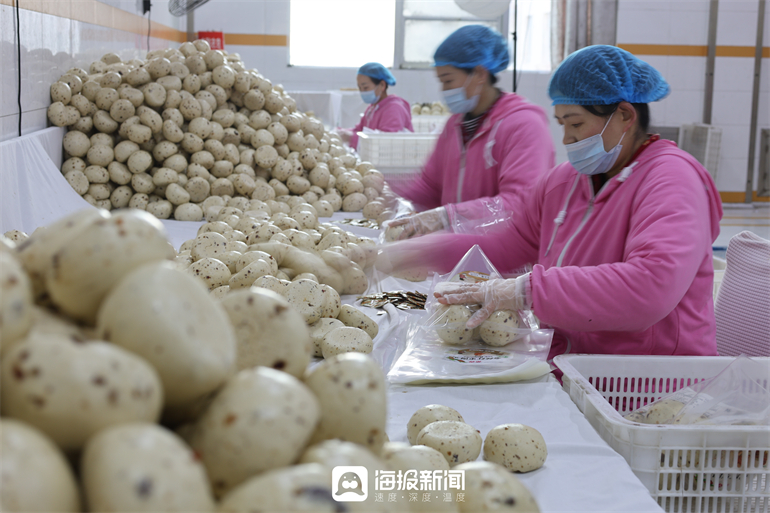 新春走基层｜山东馒头南下记：一枚乐陵希森马铃薯馒头的“反向春运”
